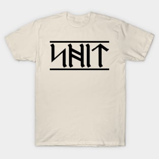 Rude Runes - Anglo-Saxon curse (9) T-Shirt